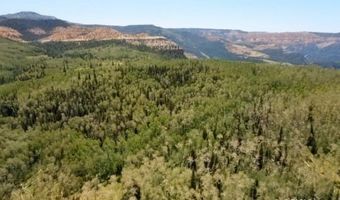40 Acres Summit Mountain Rd, Brian Head, UT 84719
