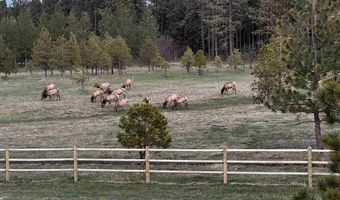 1881 Mill Rd, Anatone, WA 99401
