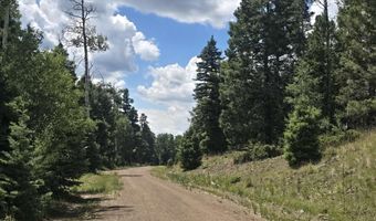 Plesant Valley lot 1302, Angel Fire, NM 87710
