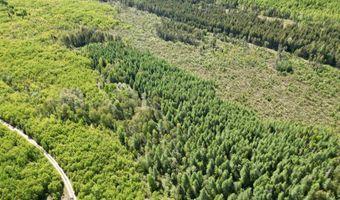 CR 557 40 Road, Arnold, MI 49819