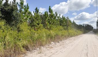 100 Doc Hunter Rd, Baxley, GA 31513