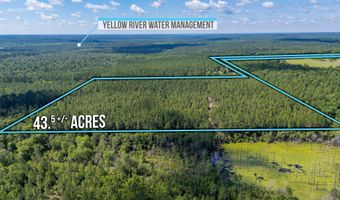 43 5 +/- A Old River Rd, Baker, FL 32531