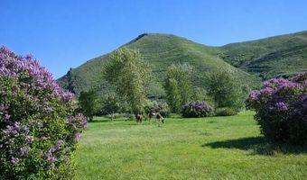 342 Broadford Rd, Bellevue, ID 83313