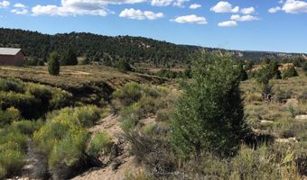 unit B2 B2, Alton, UT 84710