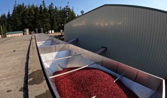 54981 MORRISON Rd, Bandon, OR 97411