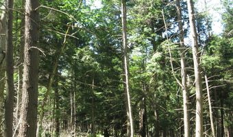 1260 Valentine Pond Rd, Adirondack, NY 12808