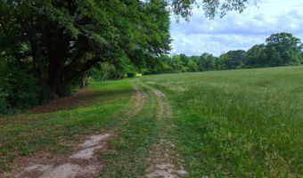 23826 Opine Rd, Andalusia, AL 36421