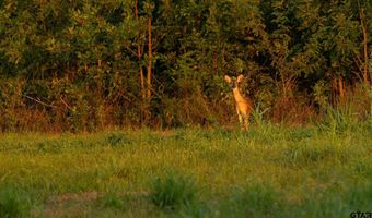 225 CR 3303, De Kalb, TX 75559