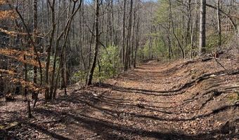 1834 Bristol Ave, Andrews, NC 28901