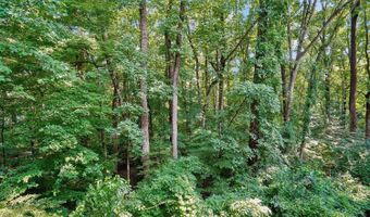 4345 IVYMOUNT Ct 22, Annandale, VA 22003