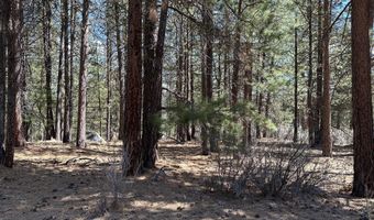 Lot 4 Waterview Way, Chiloquin, OR 97624