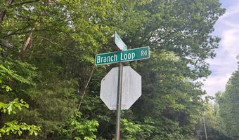 3 Lots Branch Loop, Big Sandy, TN 38221