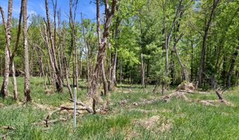 Chicago Avenue lot 2, Arkdale, WI 54613