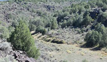 Matisse Road, Carson, NM 87517