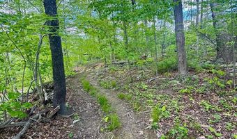 20102 ROCK OAK Rd SW, Barton, MD 21521