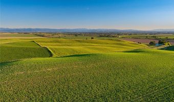 Walker/Forswall, Belgrade, MT 59714