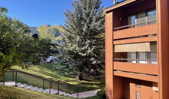 1136 Vine St 1136, Aspen, CO 81611
