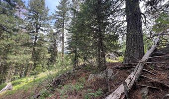 Tbd Hilltop Road 43 & 44, Cascade, ID 83611