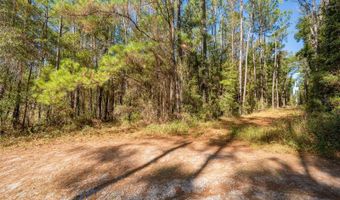 Tbd N COUNTY RD 1491, Alachua, FL 32615