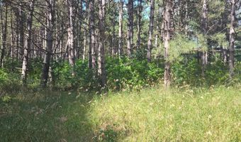 Lot 113 Beaver Lane, Arkdale, WI 54613