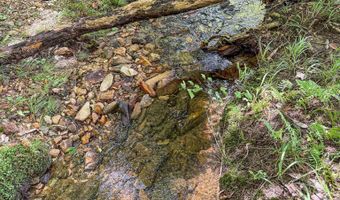 1540 PEPPER Rd 49+/- Acres, Ashland, AL 36251