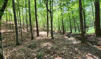 Tbd Bahalia Rd, Brookhaven, MS 39601