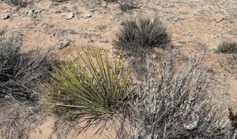 TBD 205-70-002, Chambers, AZ 86502