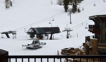 0039 Boomerang Rd Unit 8310 Summer Interest 7, Aspen, CO 81611