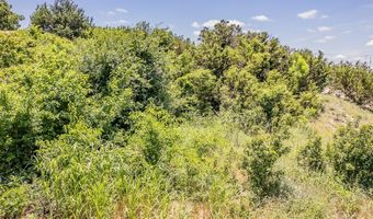 113 Denton Heights Ln, Weatherford, TX 76085