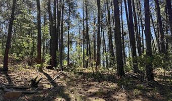 216 Fawn Dr, Bayfield, CO 81122