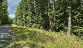 Lot 1 & 2 Rt. 1 Muddy Creek Mountain, Alderson, WV 24910