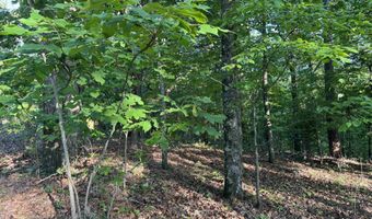 0 DAVIS ACRES Dr 72 & 73, Alpine, AL 35014