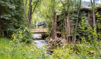 314 N Riverside Ave 2, Aspen, CO 81611