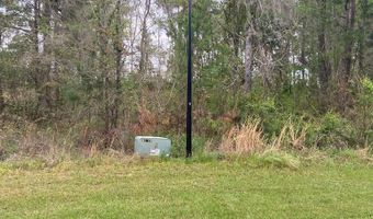 N/A Blue Springs, Bainbridge, GA 39819