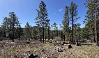1142 Deer Ridge Dr, Bayfield, CO 81122