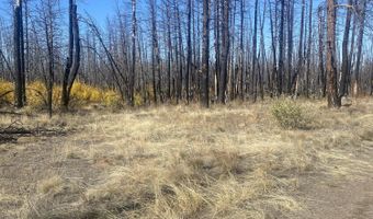 0 Bull Pine Rd 4, Bly, OR 97622