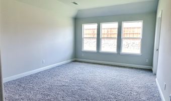1216 Castiglione Ln, Anna, TX 75409