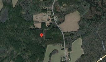00000 Old Spell Rd, St. George, SC 29477