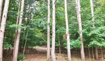 15940 Northwood Hwy, Arcadia, MI 49613