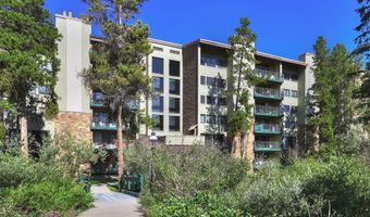 455 VILLAGE Rd 102, Breckenridge, CO 80424
