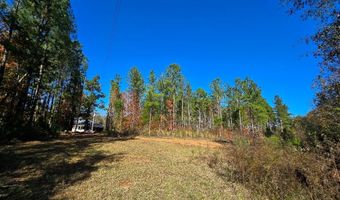 0 Bruner Pond Rd, Ashford, AL 36320