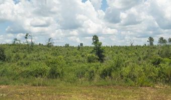 00 Ebenezer Church Rd, Bassfield, MS 39421