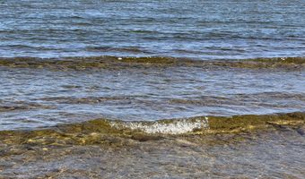 1205 Partridge Point Rd, Alpena, MI 49707