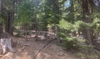 Fargo Rd, Alturas, CA 96101