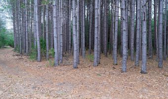 255 45 Ac Dover Dr, Adams, WI 53910