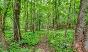 341 Blackberry Trl, Ball Ground, GA 30107