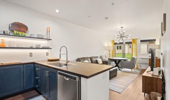1400 E Valley Rd 110, Basalt, CO 81621