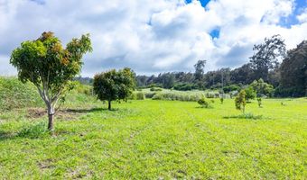 54-1749 PAIPO KANE Rd, Kapaau, HI 96755