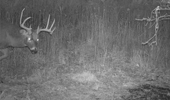 652 Nd St, Albia, IA 52531