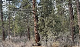 Bufflehead Drive TL 10, Bonanza, OR 97623